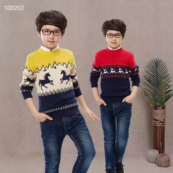 Stock Clothes Kid Sweater - Image 2